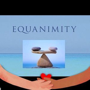 Meet your Posher, Jennifer daya